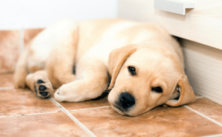 Tile & Grout Cleaning